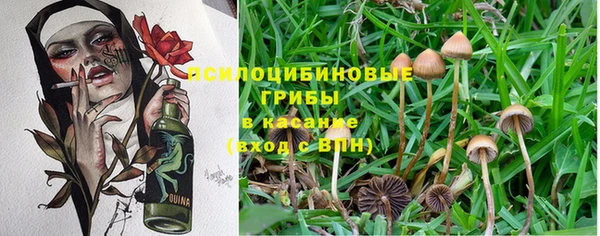 mdpv Горнозаводск