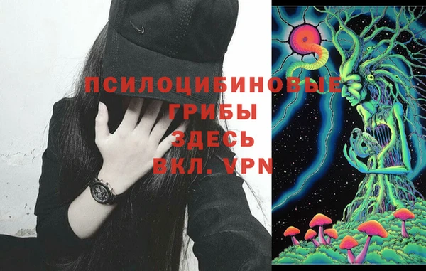 mdpv Горнозаводск