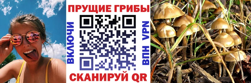 сколько стоит  Серафимович  Галлюциногенные грибы ЛСД 